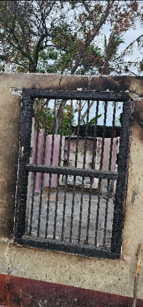 Environment
